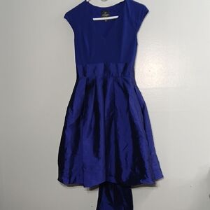 Adrianna Papell Royal Blue Garment